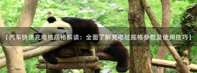 威廉足球运动员：【汽车快速充电桩规格解读：全面了解充电桩规格参数及使用技巧】