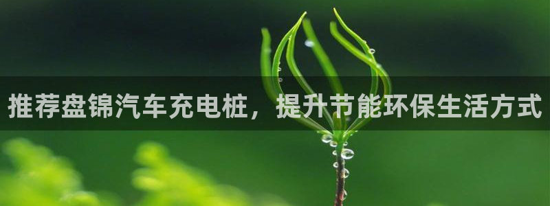 威廉希尔足球官网：推荐盘锦汽车充电桩，提升节能环保生活方式