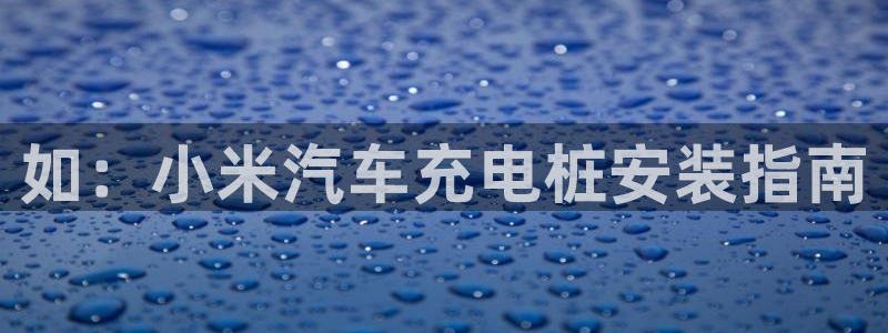 威廉希尔胜平负概率：如：小米汽车充电桩安装指南