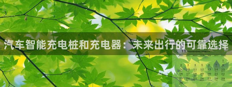 威廉健身管理咨询有限公司：汽车智能充电桩和充电器：未来出行的可靠选择