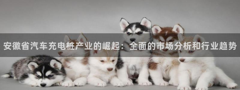 威廉比分：安徽省汽车充电桩产业的崛起：全面的市场分析和行业趋势