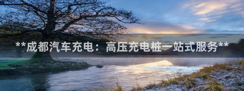 威廉指标是哪一个：**成都汽车充电：高压充电桩一站式服务**