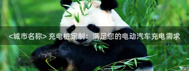 足球威廉希尔初盘还是变盘了：<城市名称> 充电桩定制：满足您的电动汽车充电需求