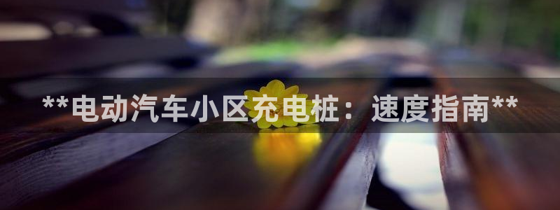 威廉希尔和inter：**电动汽车小区充电桩：速度指南**