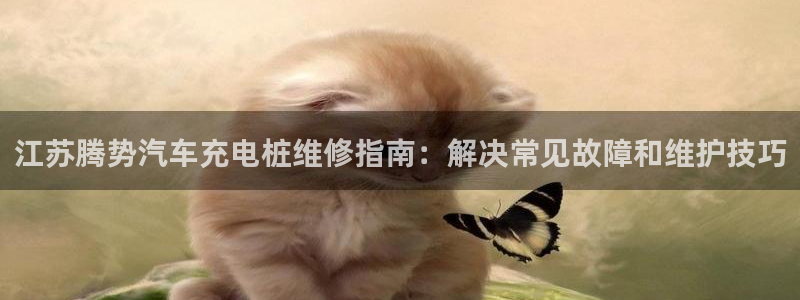 威廉希尔合法吗：江苏腾势汽车充电桩维修指南：解决常见故障和维护技巧