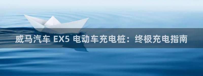 威廉希尔官网哪里有：威马汽车 EX5 电动车充电桩：终极充电指南