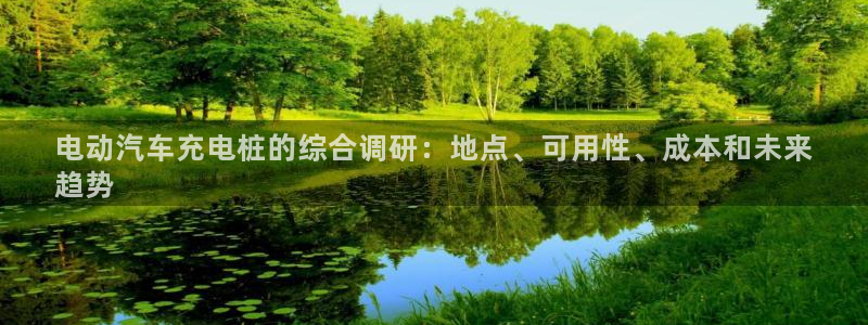 威廉体育官方app下载安卓苹果：电动汽车充电桩的综合调研：地点、可用性、成本和未来
趋势