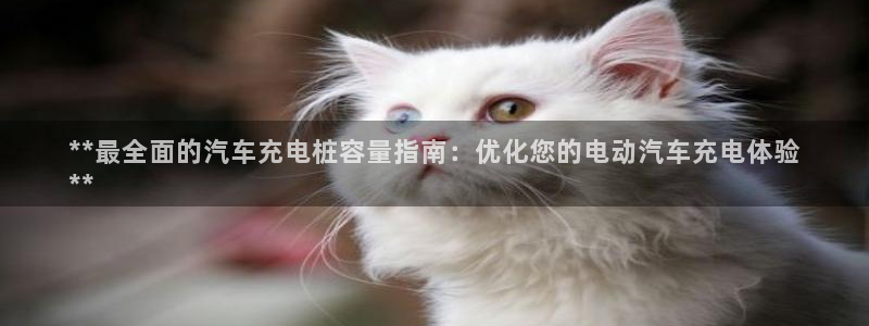 威廉希尔国内打开网址：**最全面的汽车充电桩容量指南：优化您的电动汽车充电体验
**