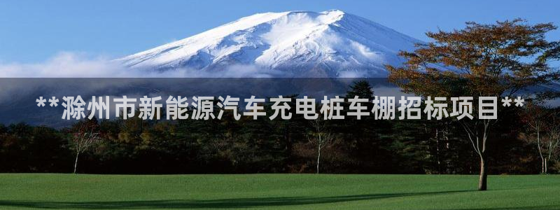 威廉希尔买入量从哪里看：**滁州市新能源汽车充电桩车棚招标项目**