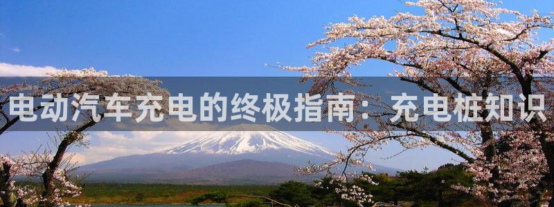 威廉足球软件下载安装：电动汽车充电的终极指南：充电桩知识