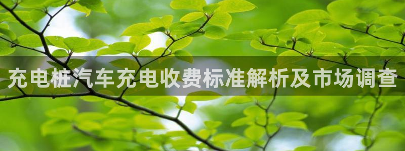 威廉希尔浏览器5.5.2：充电桩汽车充电收费标准解析及市场调查