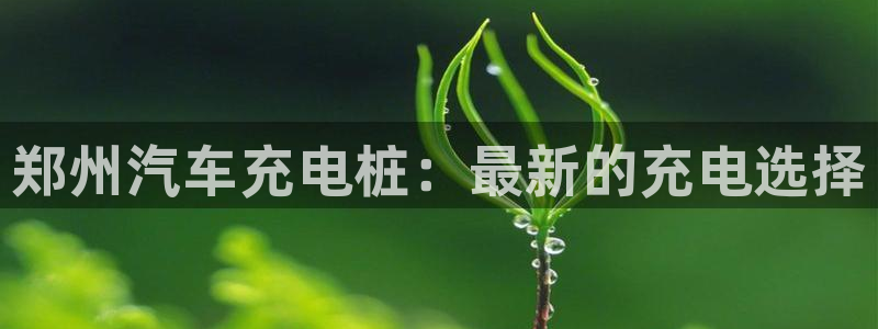 威廉希尔的分析方法