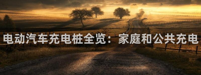 威廉指数计算公式：电动汽车充电桩全览：家庭和公共充电