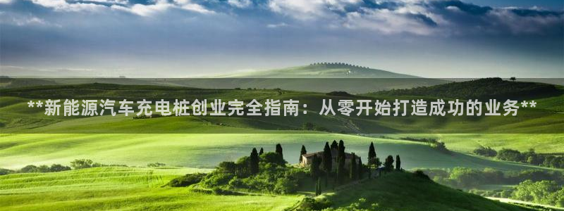 威廉指数怎么使用：**新能源汽车充电桩创业完全指南：从零开始打造成功的业务**