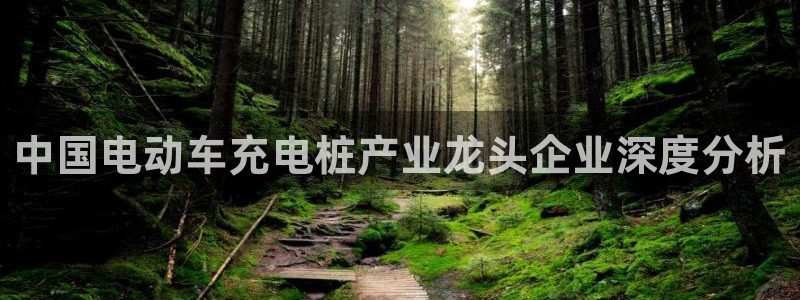威廉希尔欧亚转换表：中国电动车充电桩产业龙头企业深度分析