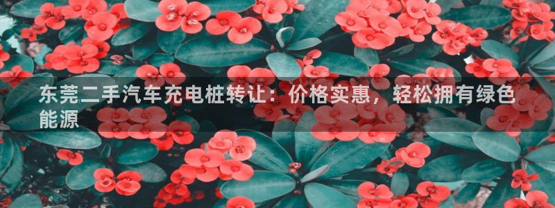 威廉希尔与inter平负比较：东莞二手汽车充电桩转让：价格实惠，轻松拥有绿色
能源