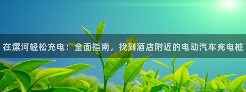 国内威廉希尔网站平台合法：在漯河轻松充电：全面指南，找到酒店附近的电动汽车充电桩