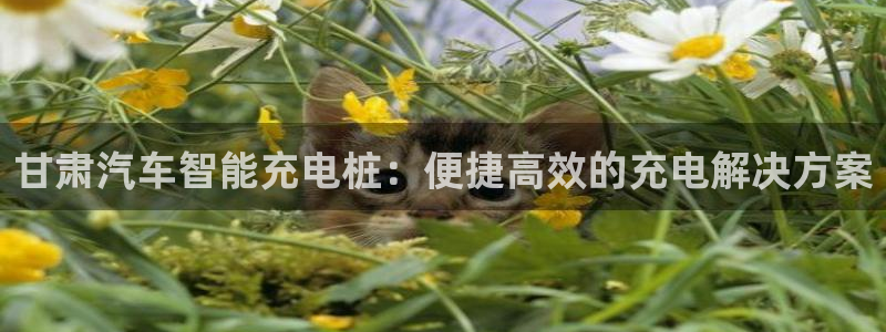 威廉指数42：甘肃汽车智能充电桩：便捷高效的充电解决方案
