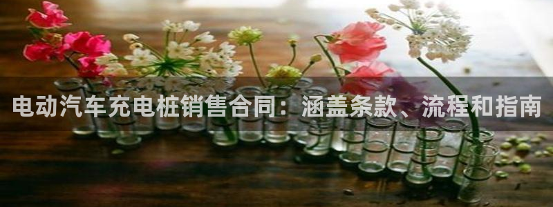 威廉国际平台有人玩过吗：电动汽车充电桩销