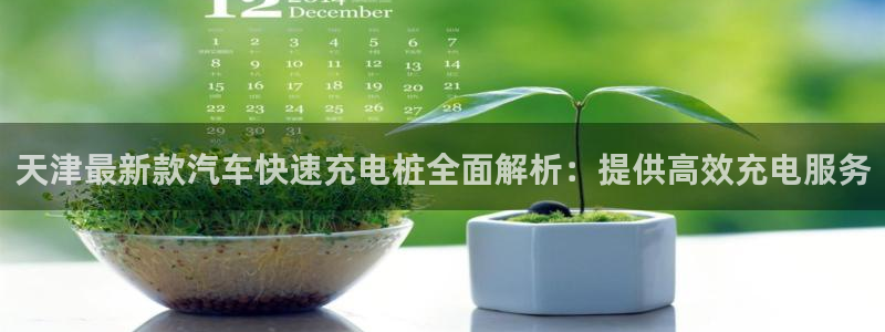 威廉希尔判断平局：天津最新款汽车快速充电桩全面解析：提供高效充电服务