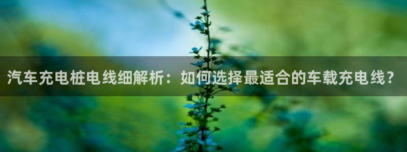 威廉希尔让球胜负平：汽车充电桩电线细解析