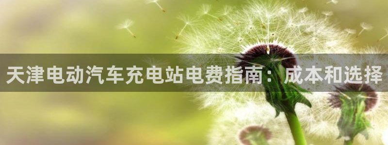 威廉网址：天津电动汽车充电站电费指南：成