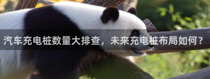 威廉希尔有中文吗：汽车充电桩数量大排查，未来充电桩布局如何？