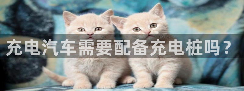 威廉希尔开盘时间：充电汽车需要配备充电桩吗？