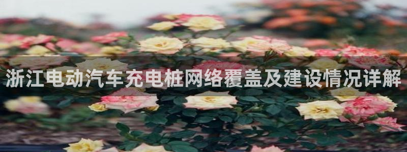有没有威廉国际这个平台：浙江电动汽车充电桩网络覆盖及建设情况详解