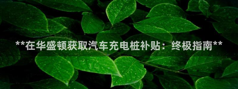威廉希尔和立博怎么看：**在华盛顿获取汽车充电桩补贴：终极指南**
