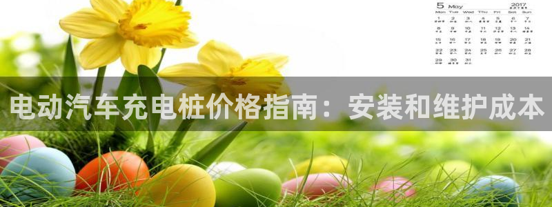 威廉希尔欧指和亚指区别：电动汽车充电桩价格指南：安装和维护成本