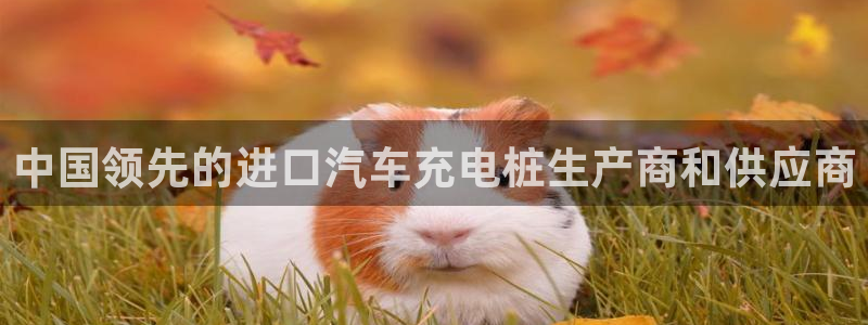 威廉国际app下载安卓：中国领先的进口汽车充电桩生产商和供应商