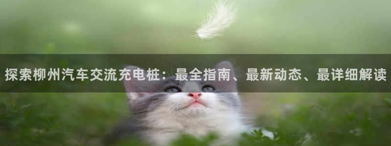 威廉希尔买卖指数：探索柳州汽车交流充电桩