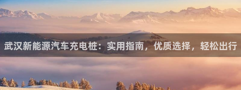 威廉娱乐：武汉新能源汽车充电桩：实用指南