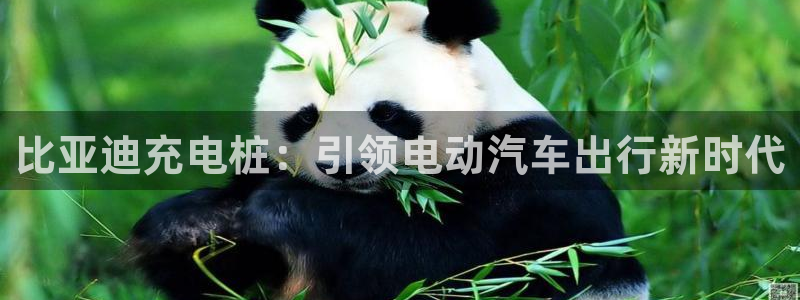 立博与威廉希尔对比分析：比亚迪充电桩：引