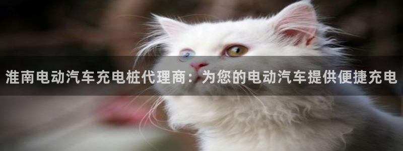 威廉指数100：淮南电动汽车充电桩代理商：为您的电动汽车提供便捷充电