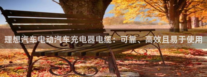 威廉希尔体育公司官网：理想汽车电动汽车充电器电缆：可靠、高效且易于使用