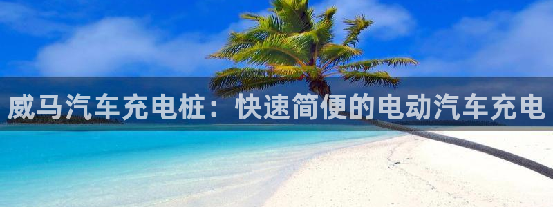 威廉希尔开盘1.50：威马汽车充电桩：快