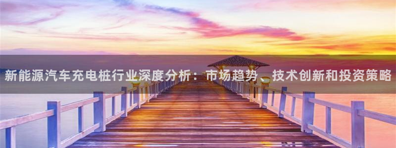 威廉希尔大小球判断方法：新能源汽车充电桩