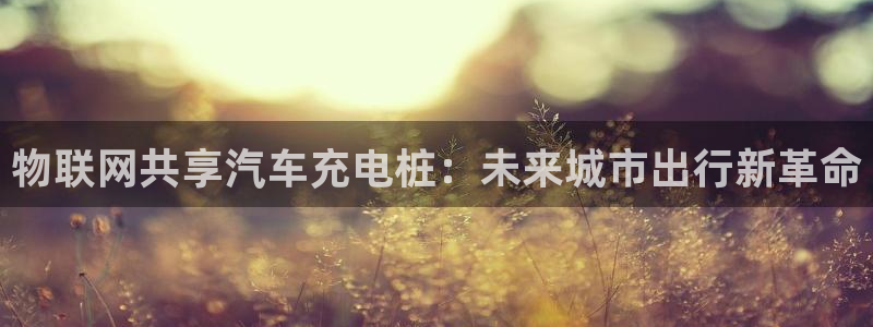 威廉希尔是最大的公司吗：物联网共享汽车充